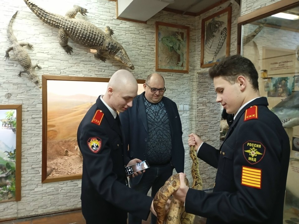    В зоомузее есть 63 тематические витрины. Фото: https://vk.com/zoomuzeumsamara001