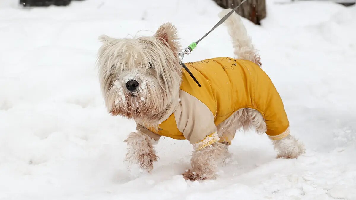    Фото: vm.ru Мария Михайлова