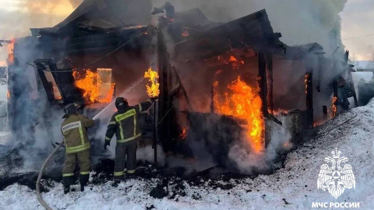    Фото: Telegram / МЧС Московской области