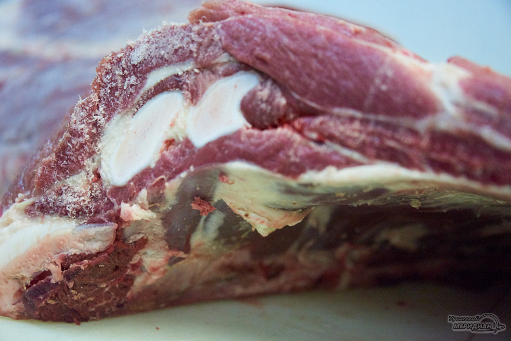    Фото: Лидия Аникина © ИА «Уральский меридиан»