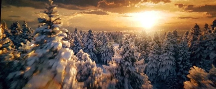 Начало фильма