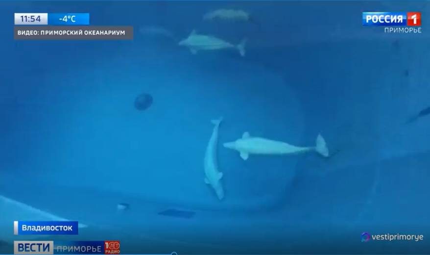    Источник фото: