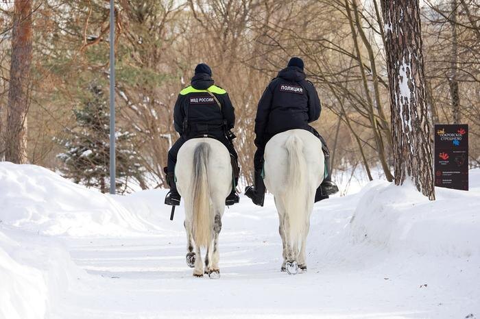Обложка © ТАСС / Олег Елков