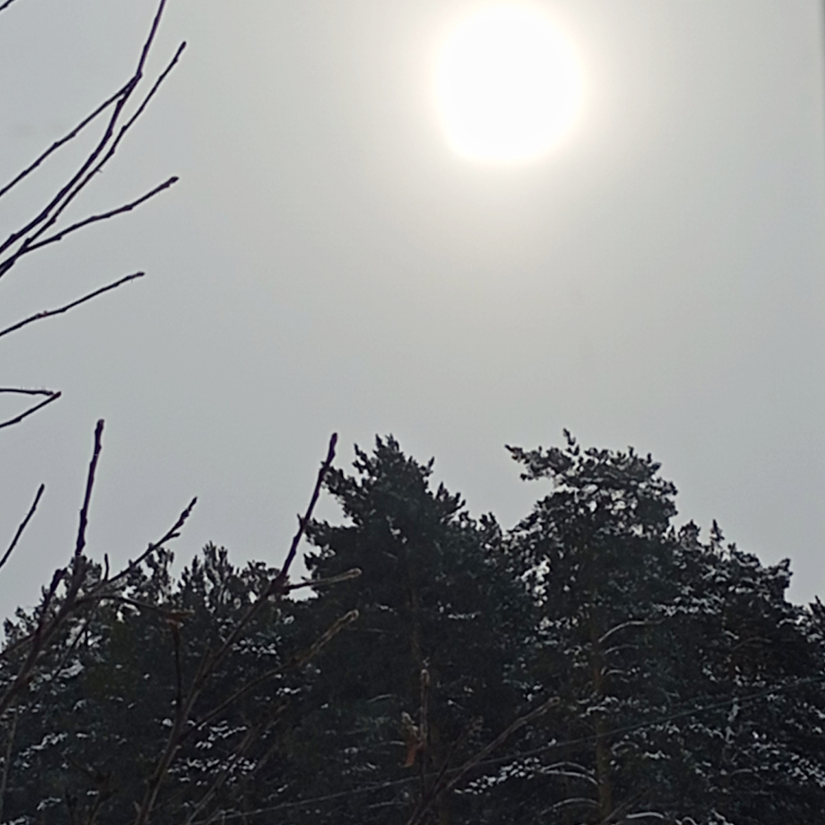 Солнышко  всходит и пытается пробиться,но зима не пускает