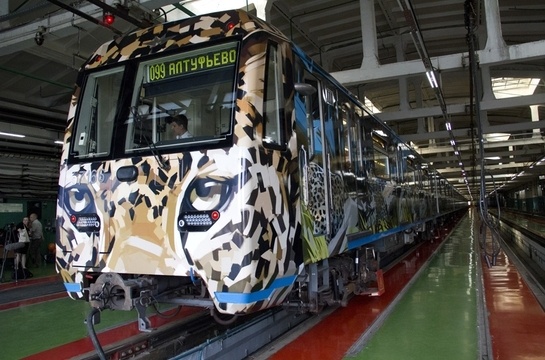 Леопард (37166)