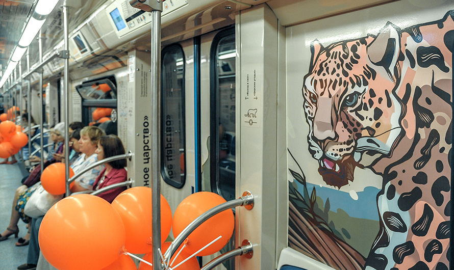 Салон. Обе фотографии с сайта mos.ru