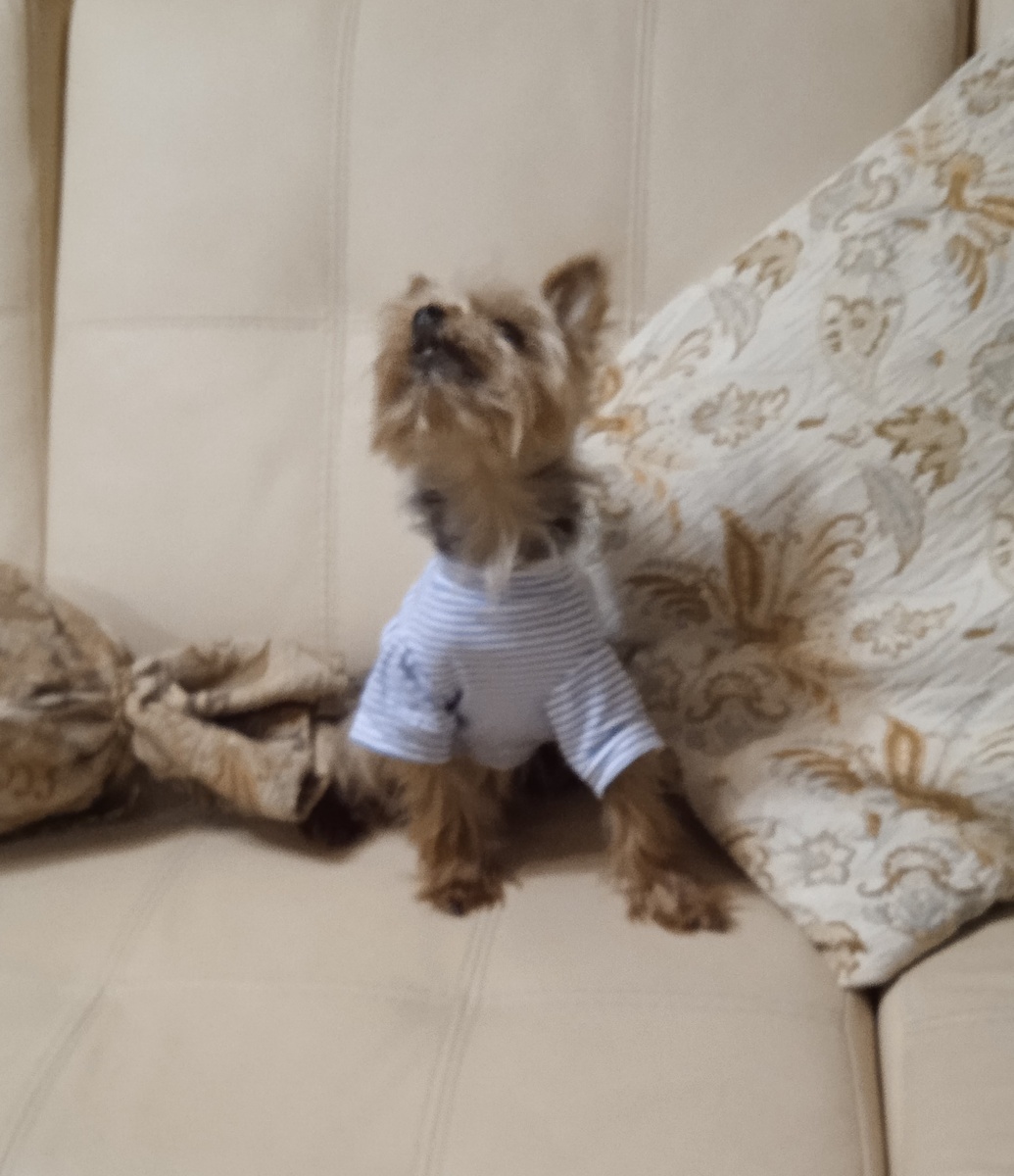 Все фото автора