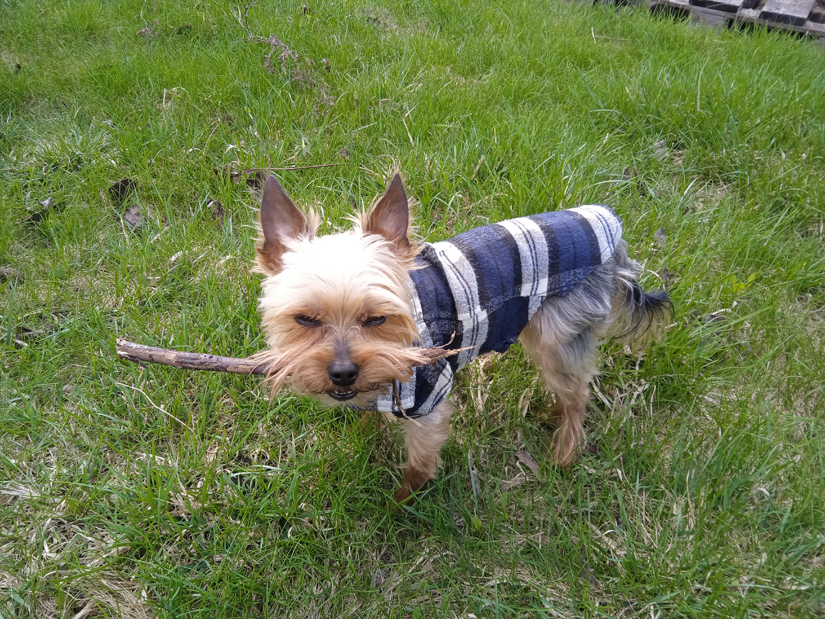 Фото сделано прошлой весной