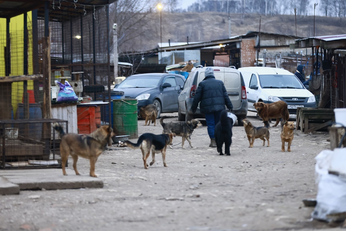    Павел Хацаюк / ИД «Вечерняя Казань»