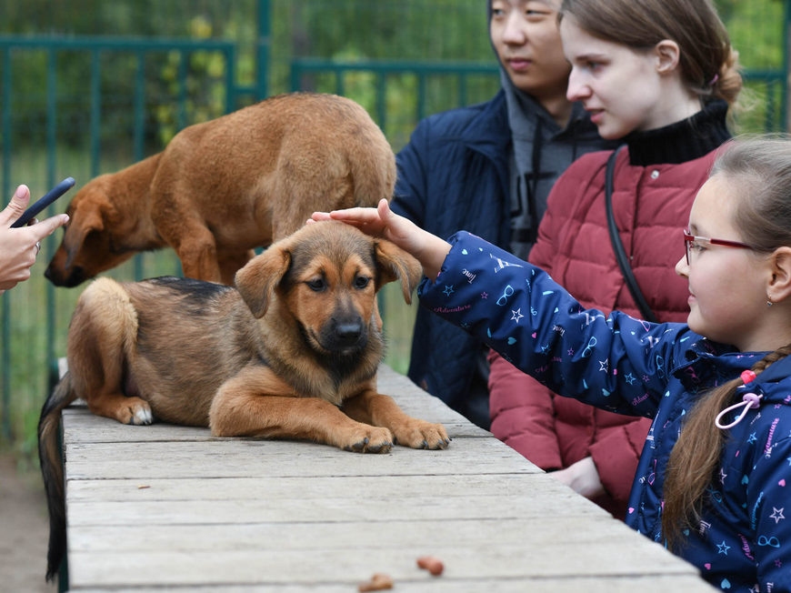    Денис Гордийко / мэрия Казани
