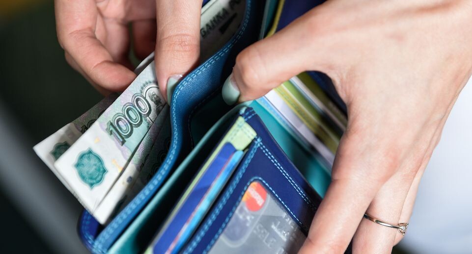    Кошелек с деньгами / Медиасток.рф