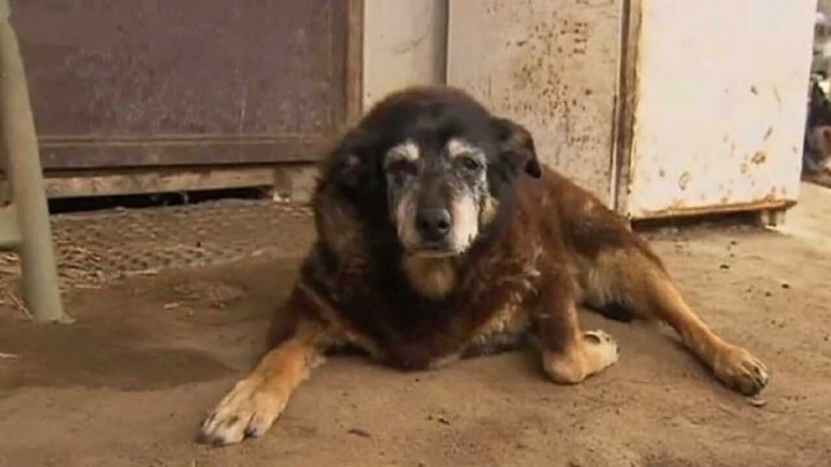 Фотография из интернета