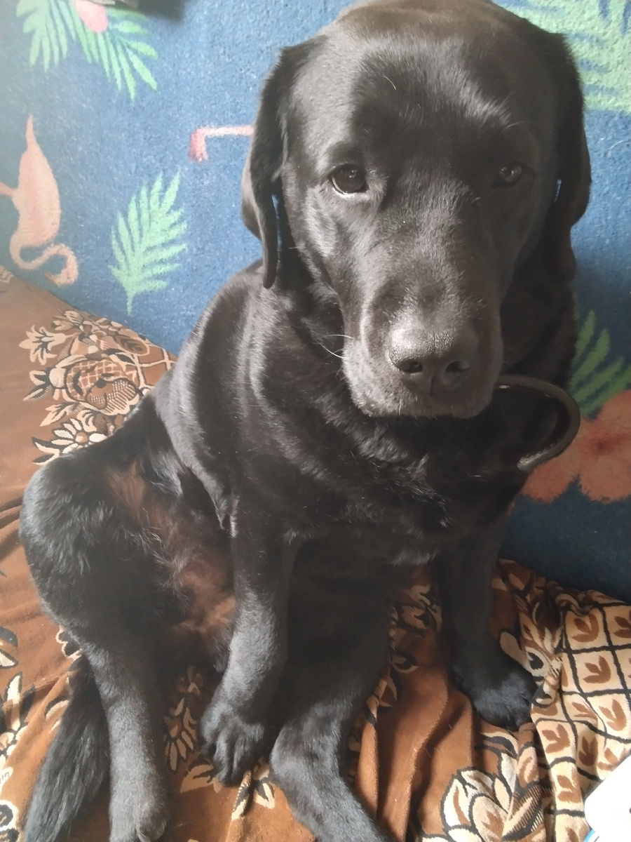 Фото автора.