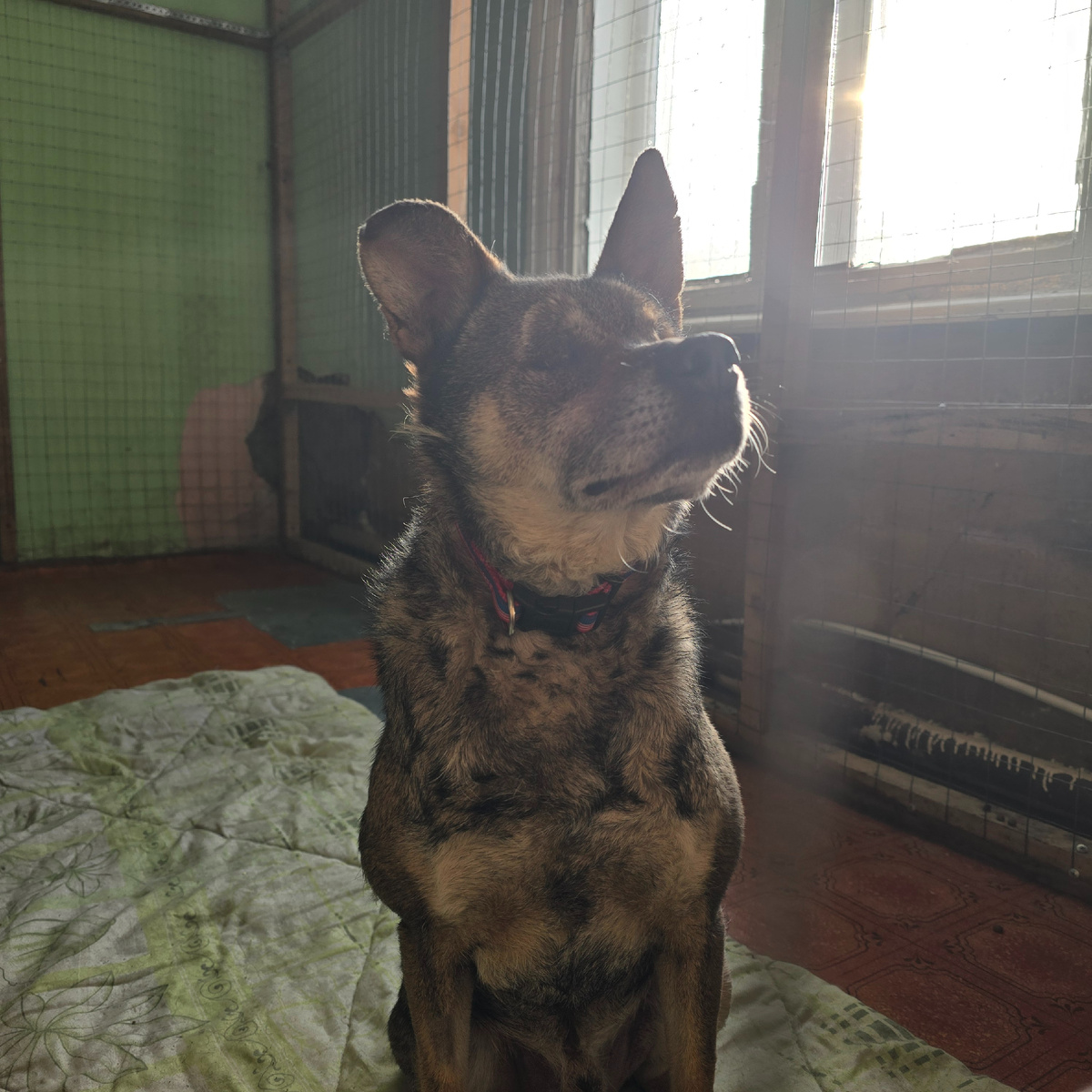 спокойная надежда в темноте без глаз