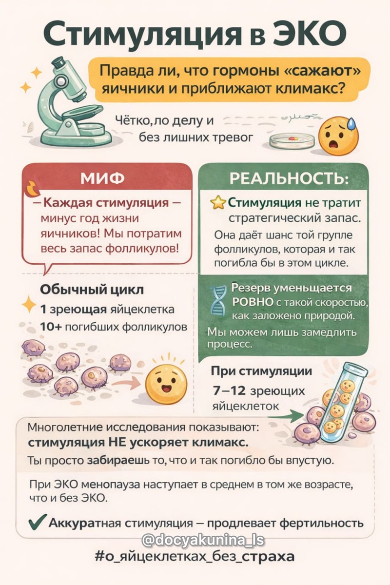 💉Стимуляция в ЭКО: правда ли, что гормоны «сажают» яичники и приближают климакс?