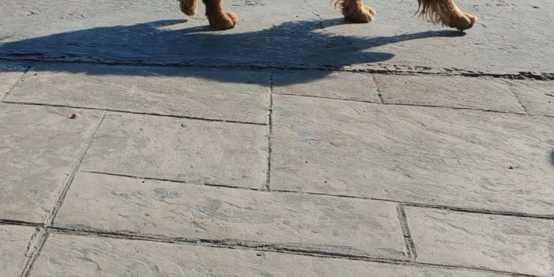 📍Проекты Стандартпарк: Ливадийская набережная, г.Ялта