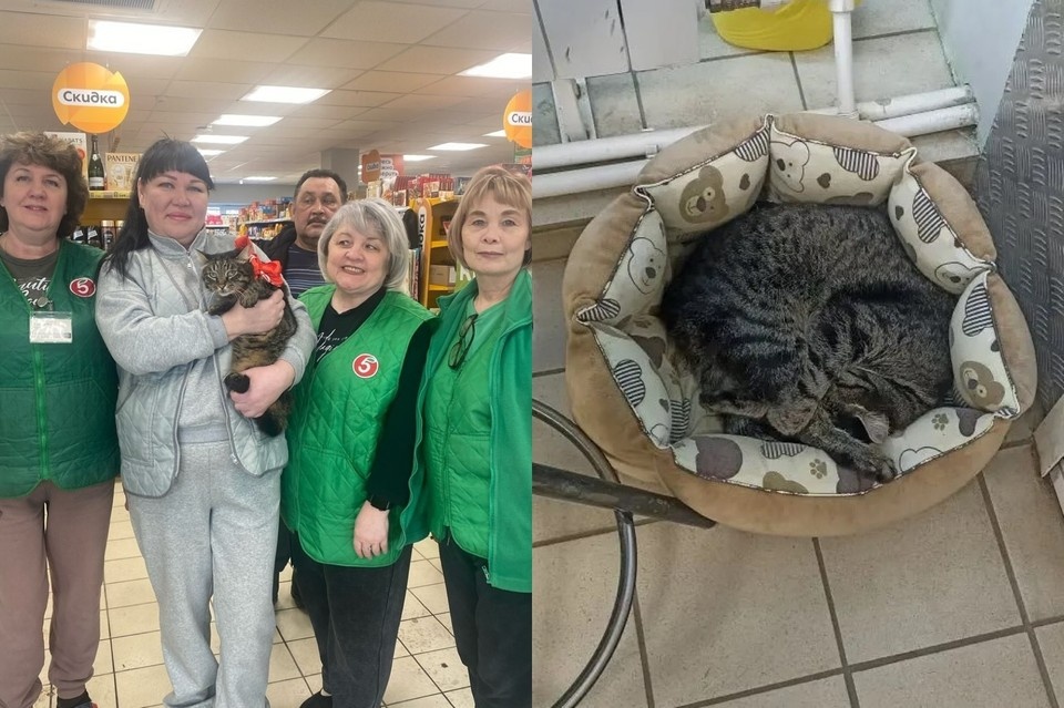    Видео с Васей облетело соцсети, интернет-пользователи благодарят сотрудников за доброту. Фото: предоставлено «КП-Самара»