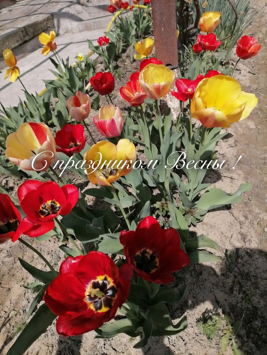 В марте. Узбекистан.