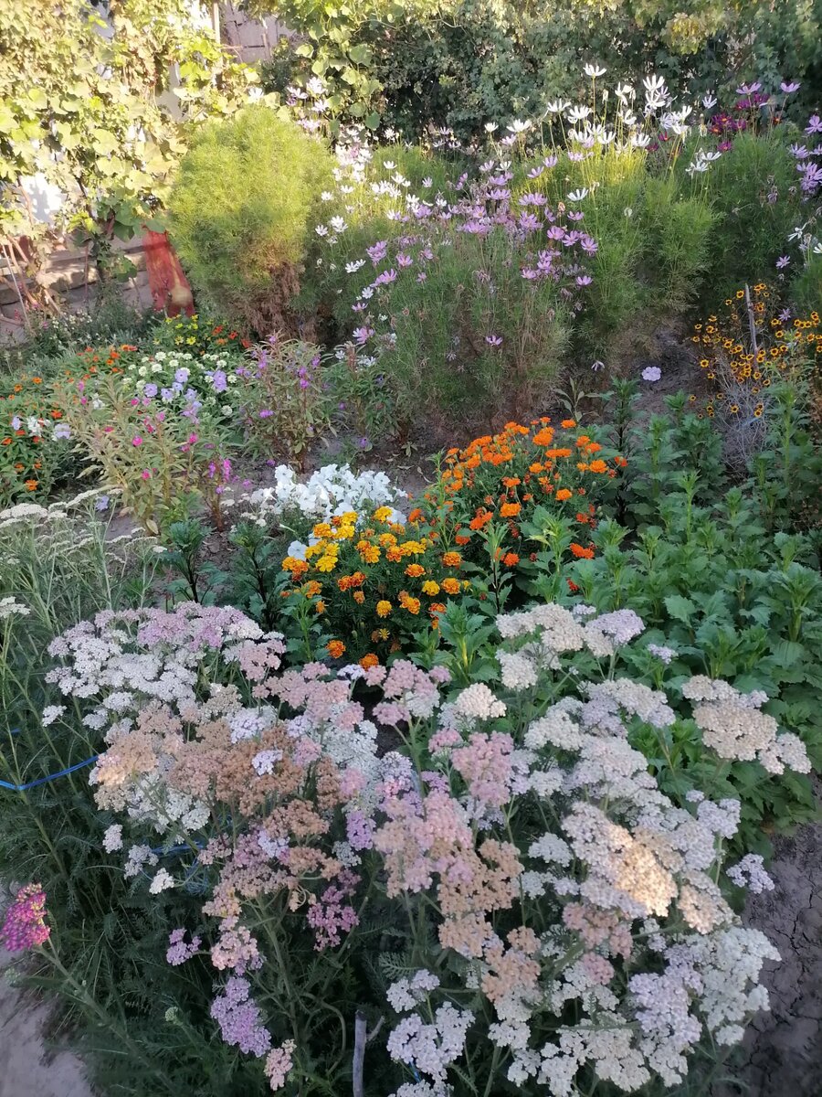 В июле. Узбекистан. Самая жара.