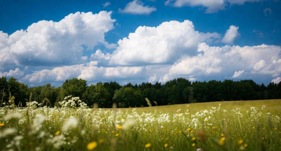    «Подмосковье сегодня»/Сгенерировано нейросетью