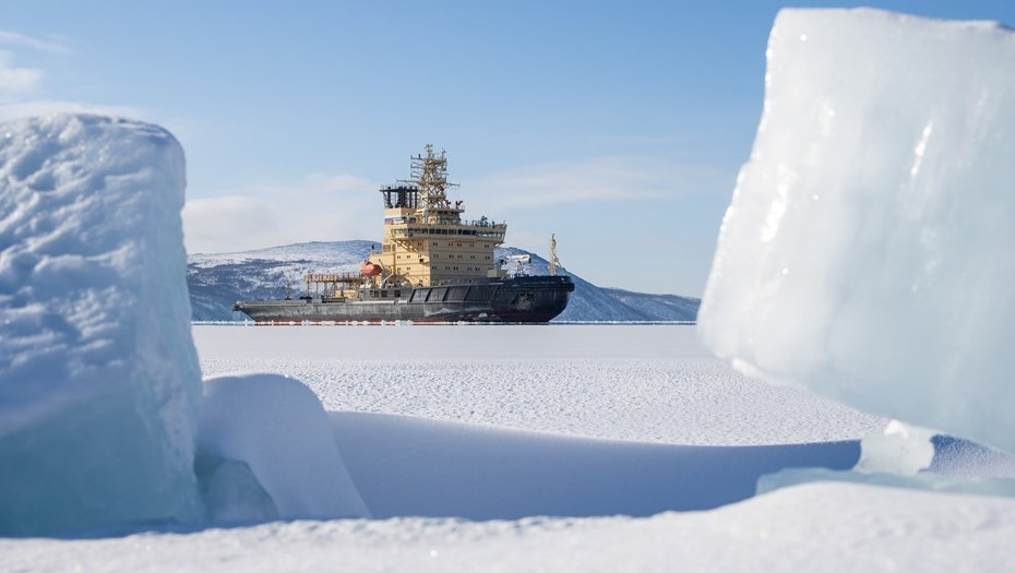    Автор фото: Andrei Stepanov/Shutterstock/FOTODOM