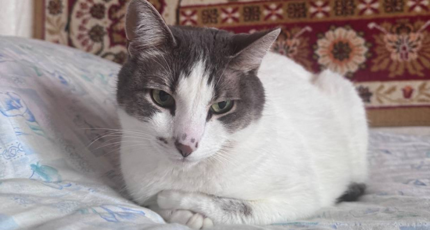    Автор фото - Анна Ефимова