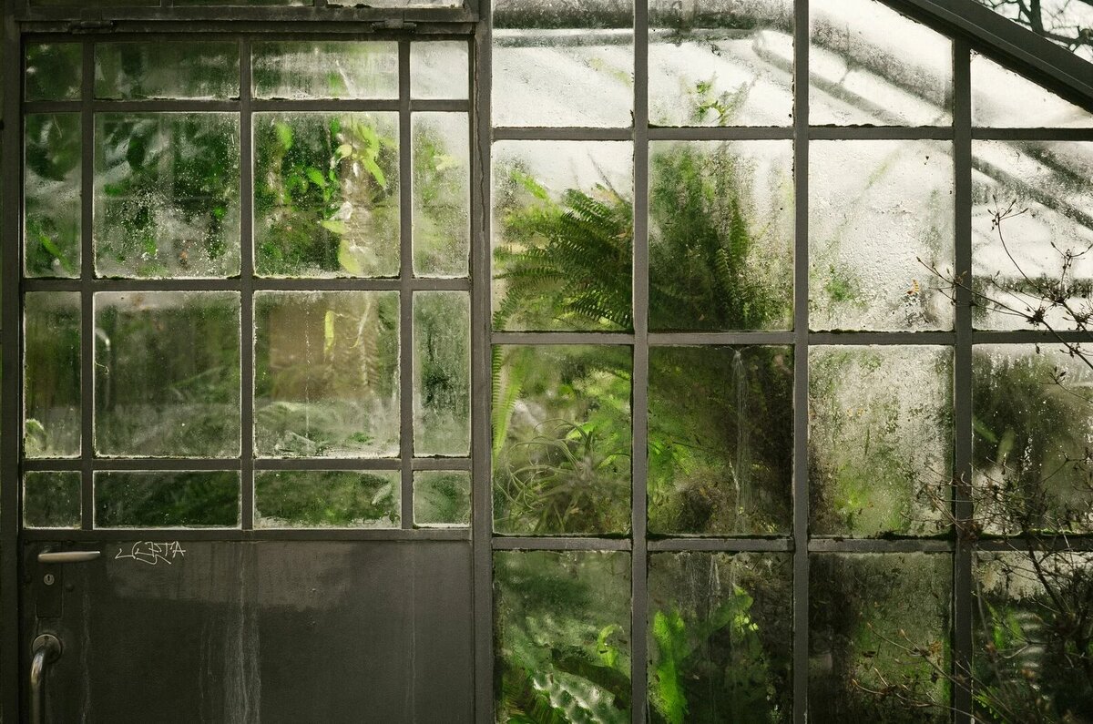 Подготовка теплицы к зиме