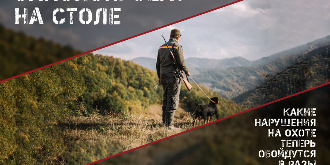 Когда нарушение правил охоты будет караться строже?