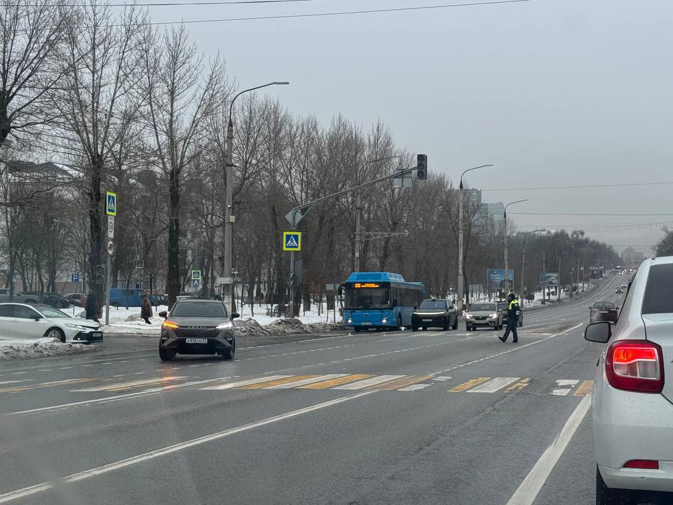     Фото: Елена Журавлёва