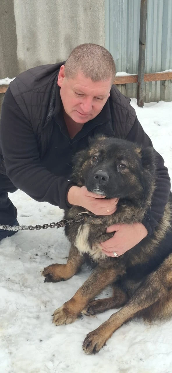 Всем огромный, пушистый привет от нашей красавицы Висты!