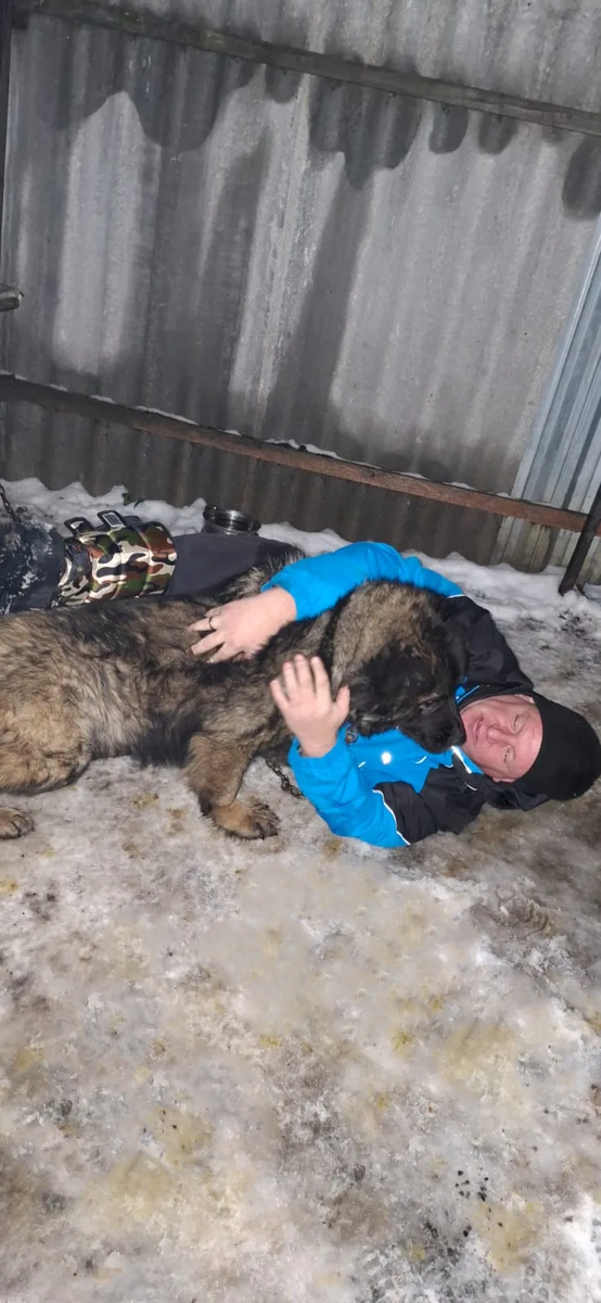 Каждый раз, когда хозяева заходят во двор, их встречает настоящий вихрь счастья!