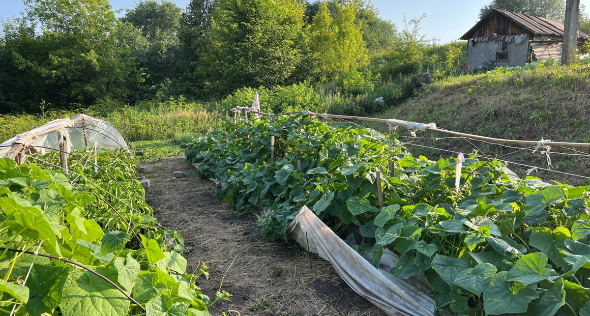    Фото: ПроГород