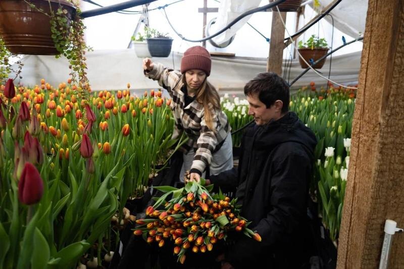    Любовь Ланчева, «КП-Челябинск» / Семья Поповых и тюльпаны