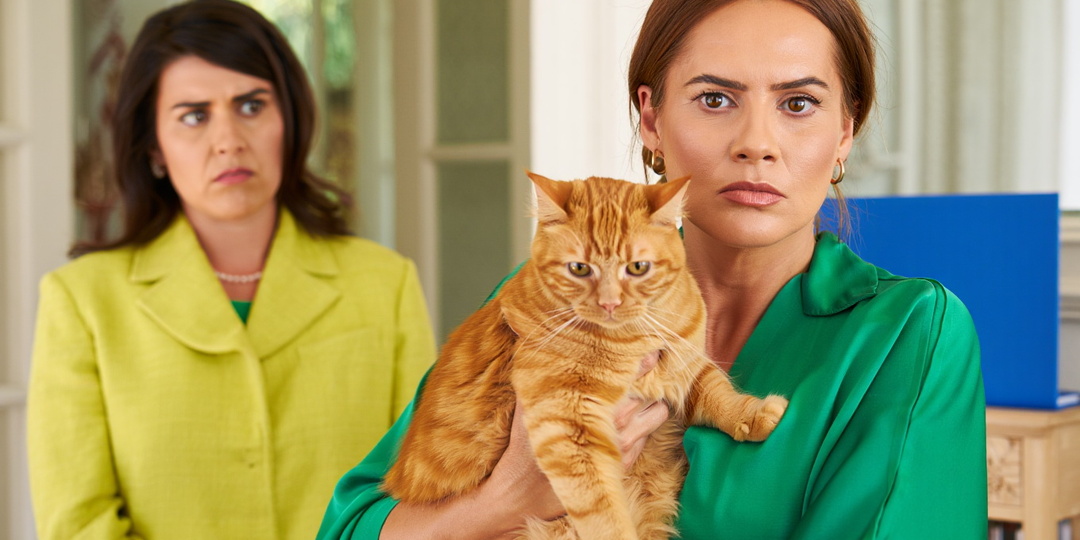 — Ты одна, тебе не трудно — твердила родня 20 лет, пока тётя не попросила покормить кота