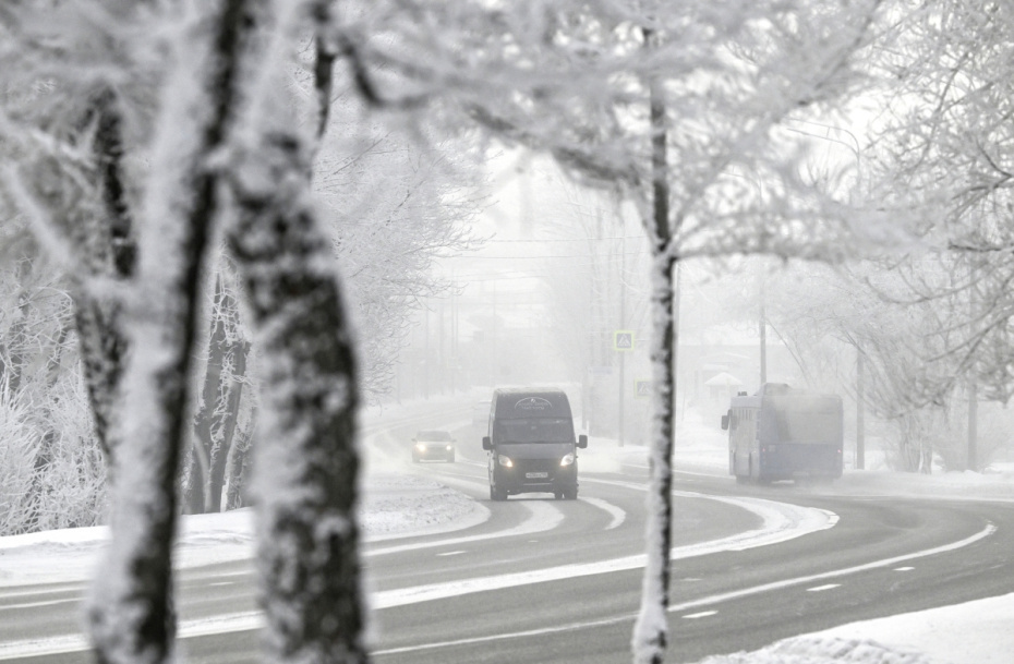    Илья Наймушин/РИА Новости