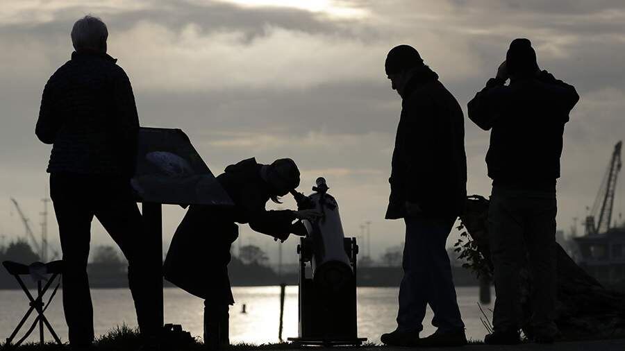    Фото: TASS/AP/Elaine Thompson