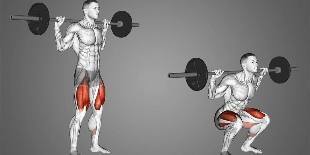 Как сохранить здоровье коленей при выполнении приседаний