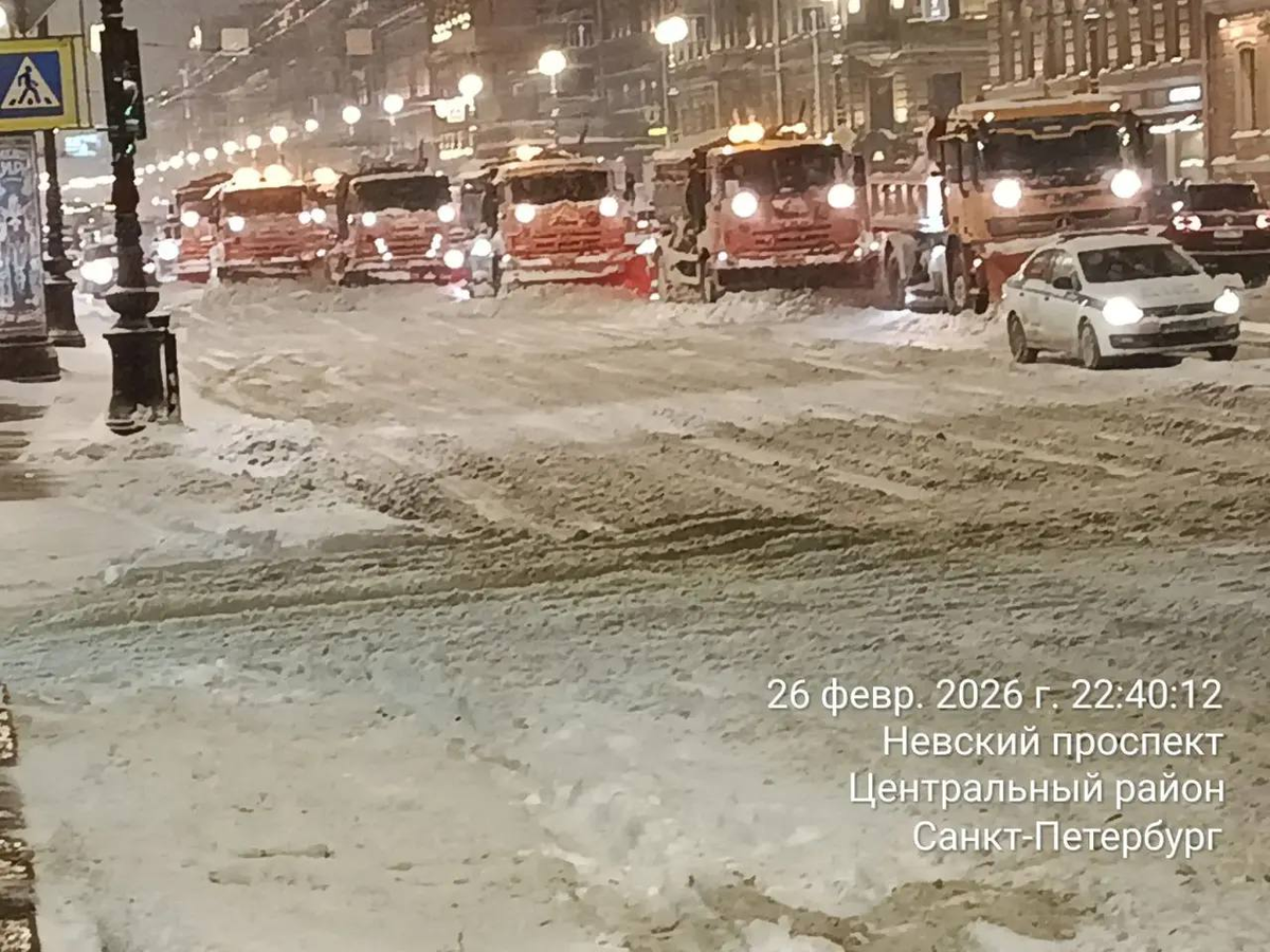 Фото: комитет по благоустройству Санкт-Петербурга