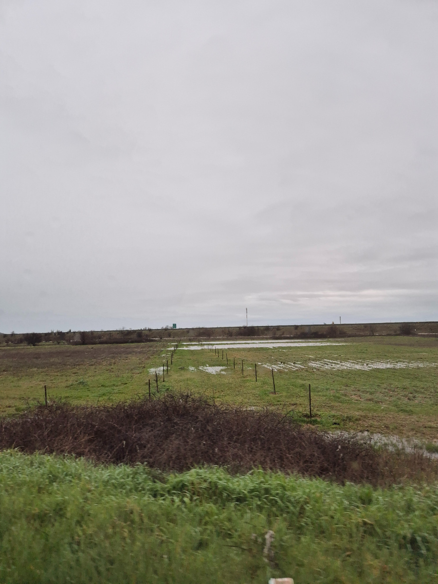 Рисовые поля на Балканах