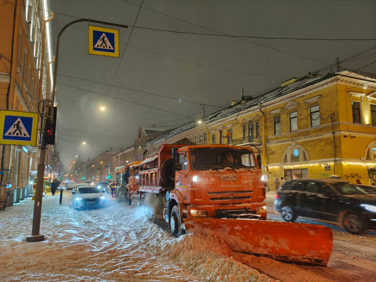 Фото: Александр Глуз / «Петербургский дневник»