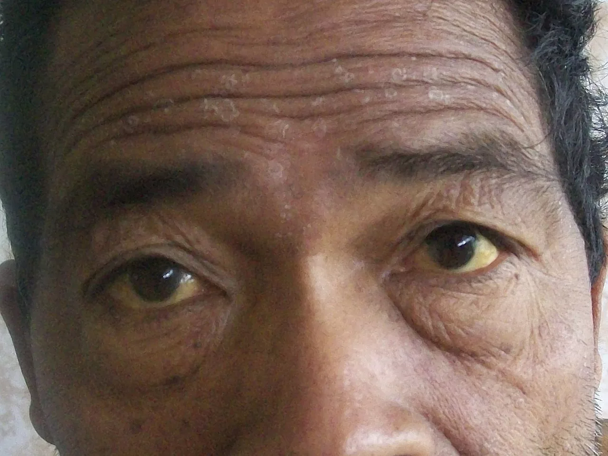 commons.wikimedia.org