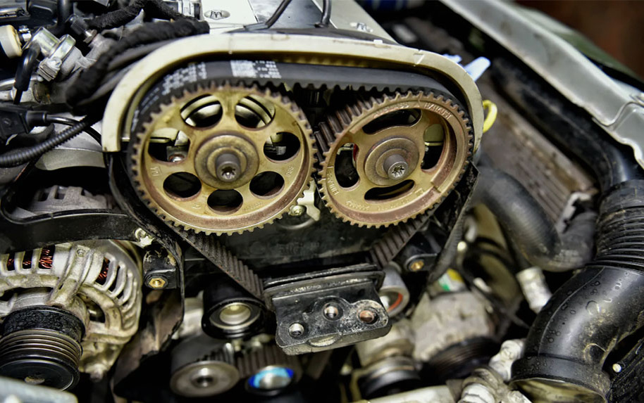 Фото: источник: https://clck.ru/3SFcY5