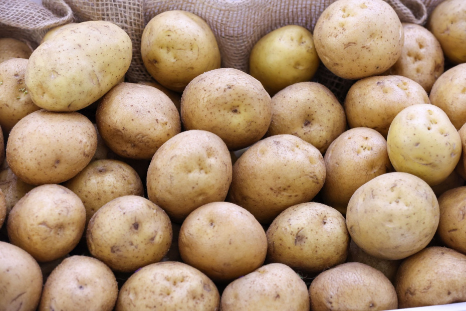    Алексей Белкин/NEWS.ru