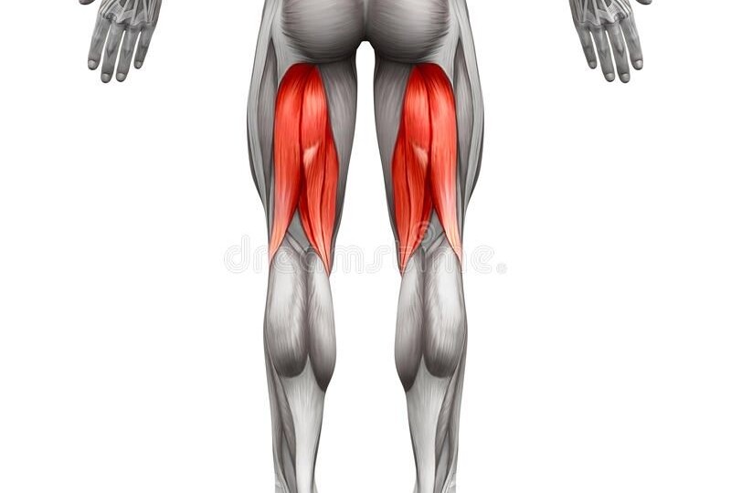 Тайный враг или ключ к силе: Лучшее изолирующее упражнение на бицепс бедра, которое вы делаете неправильно.