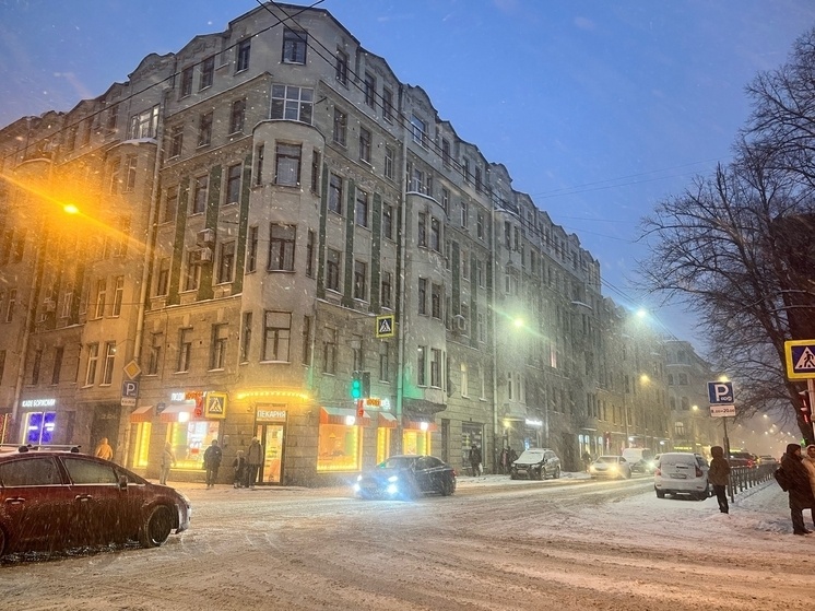     Фото: МК в Питере / Камилла Латыпова