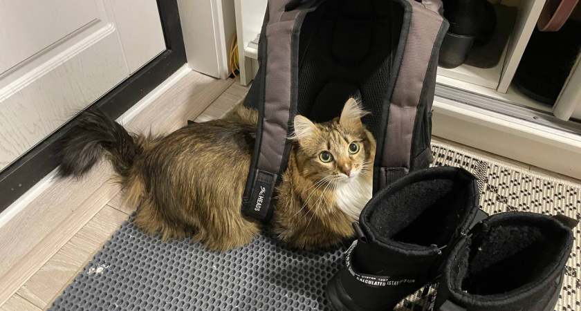    Автор фото - Анна Ефимова