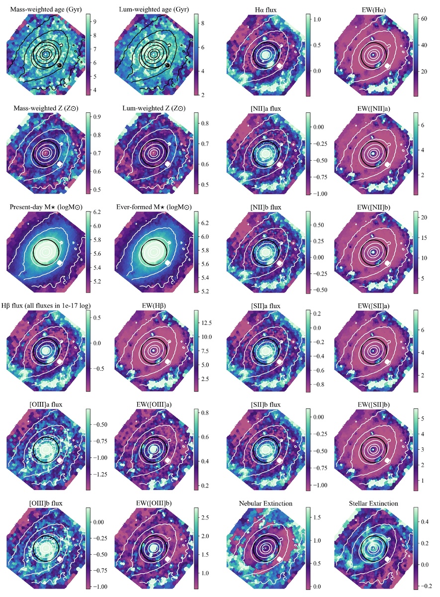 Спектральный синтез для NGC 1566. Представлены 24 карты: свойства звёздных популяций — возраст и металличность с учётом массы и светимости, текущие и суммарные массы звёзд, поверхностная плотность, потоки эмиссионных линий и эквивалентные ширины, карты затухания. На фотометрических контурах чёрная окружность обозначает центральную область.    
 Источник: arXiv:2602.20389v1  📷
