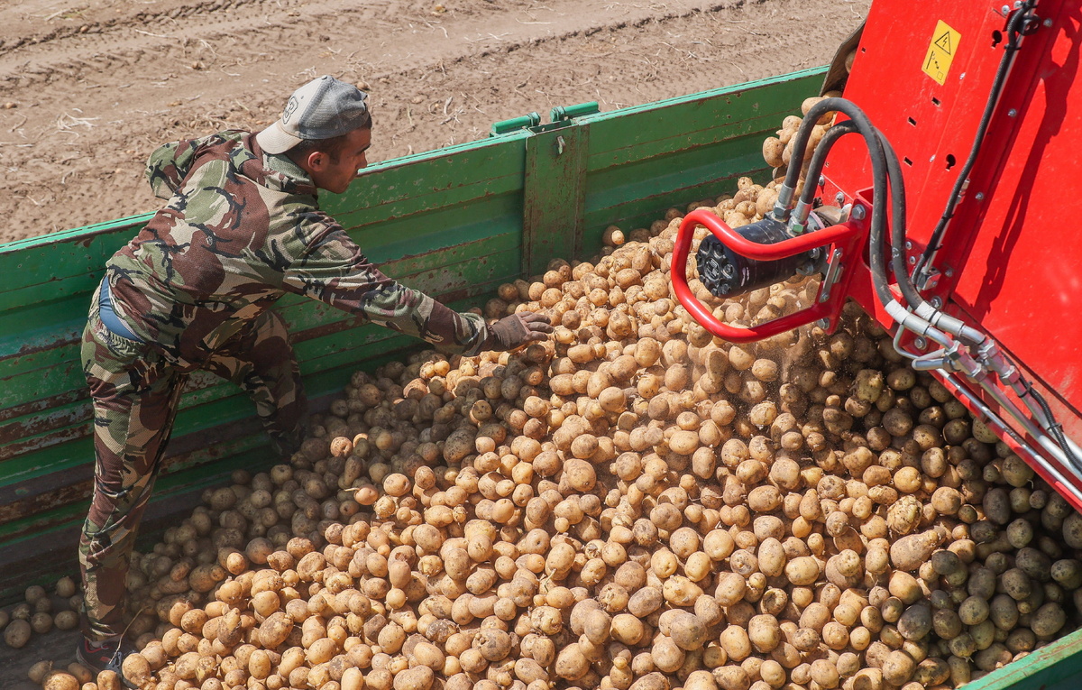 Дмитрий Рогулин/ТАСС