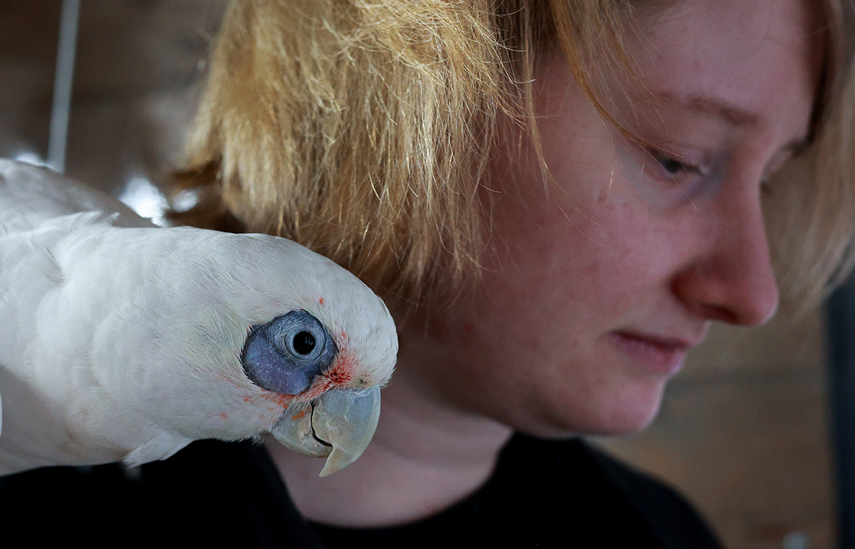 Фото: Мария Семенова для ТД