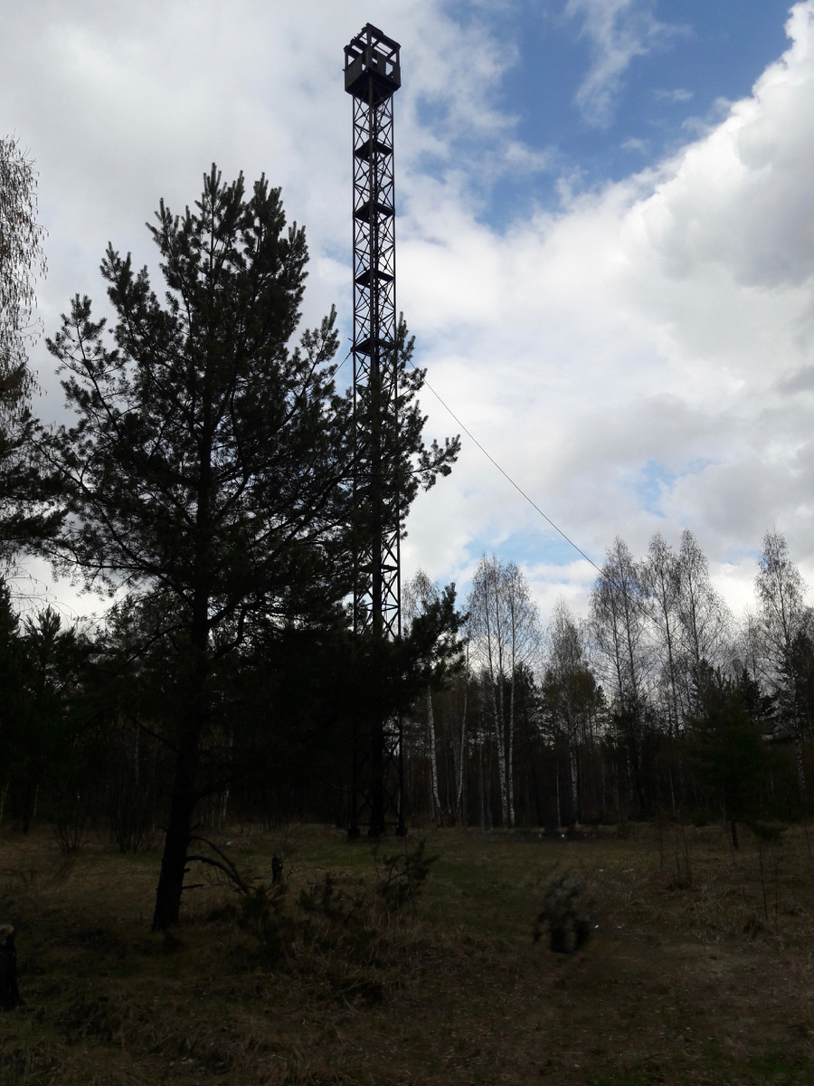 Вышка величественно возвышается над лесом!